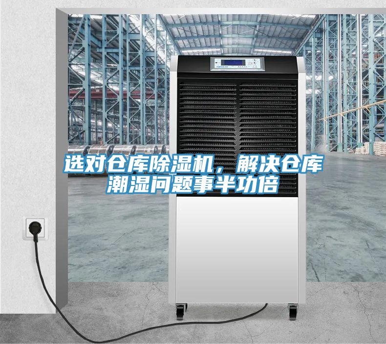 选对仓库91免费网站在线观看，解决仓库潮湿问题事半功倍