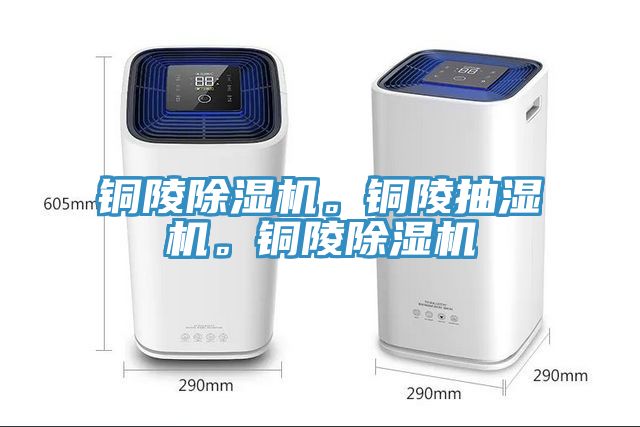 铜陵91免费网站在线观看。铜陵抽湿机。铜陵91免费网站在线观看