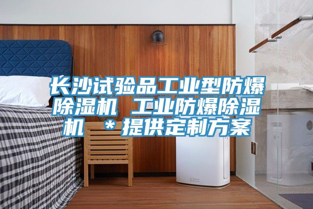 长沙试验品工业型防爆91免费网站在线观看 工业防爆91免费网站在线观看 ＊提供定制方案