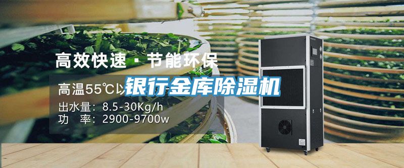 银行金库91免费网站在线观看