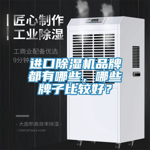 进口91免费网站在线观看品牌都有哪些，哪些牌子比较好？