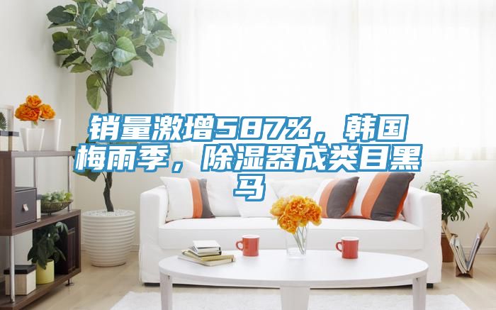 销量激增587%，韩国梅雨季，除湿器成类目黑马