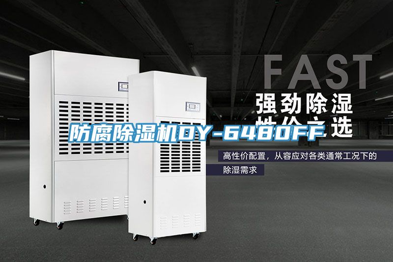 防腐91免费网站在线观看DY-6480FF