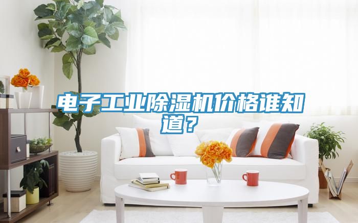 电子工业91免费网站在线观看价格谁知道？