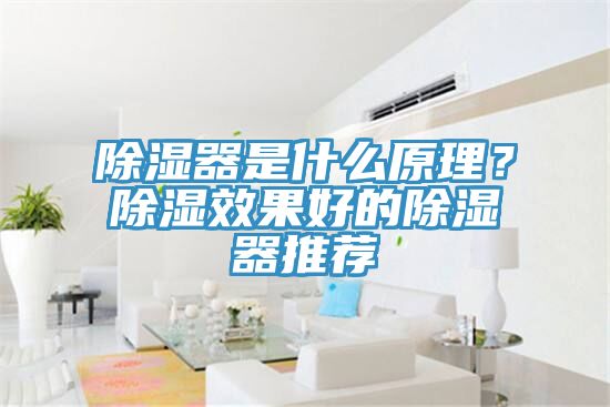 除湿器是什么原理？除湿效果好的除湿器推荐