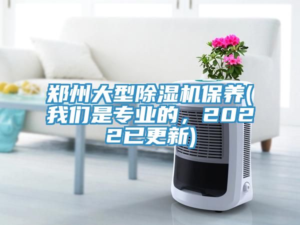 郑州大型91免费网站在线观看保养(91免费看黄片是专业的，2022已更新)