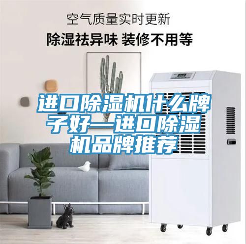 进口91免费网站在线观看什么牌子好—进口91免费网站在线观看品牌推荐
