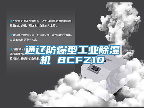 通辽防爆型工业91免费网站在线观看 BCFZ10