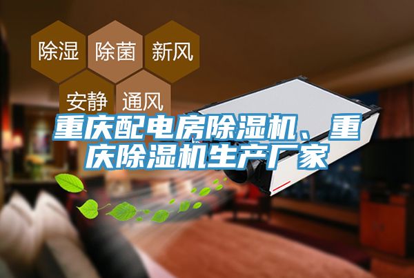 重庆配电房91免费网站在线观看、重庆91免费网站在线观看生产厂家