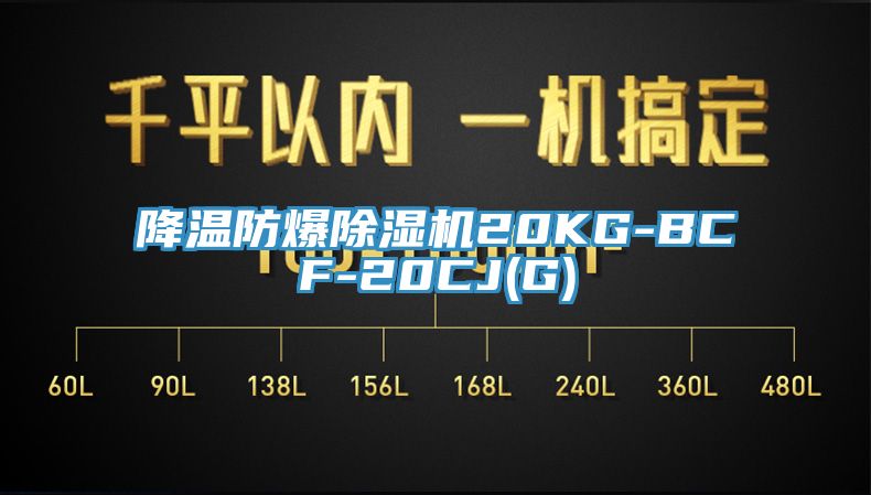 降温防爆91免费网站在线观看20KG-BCF-20CJ(G)
