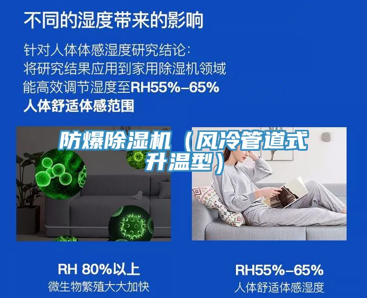 防爆91免费网站在线观看（风冷管道式升温型）