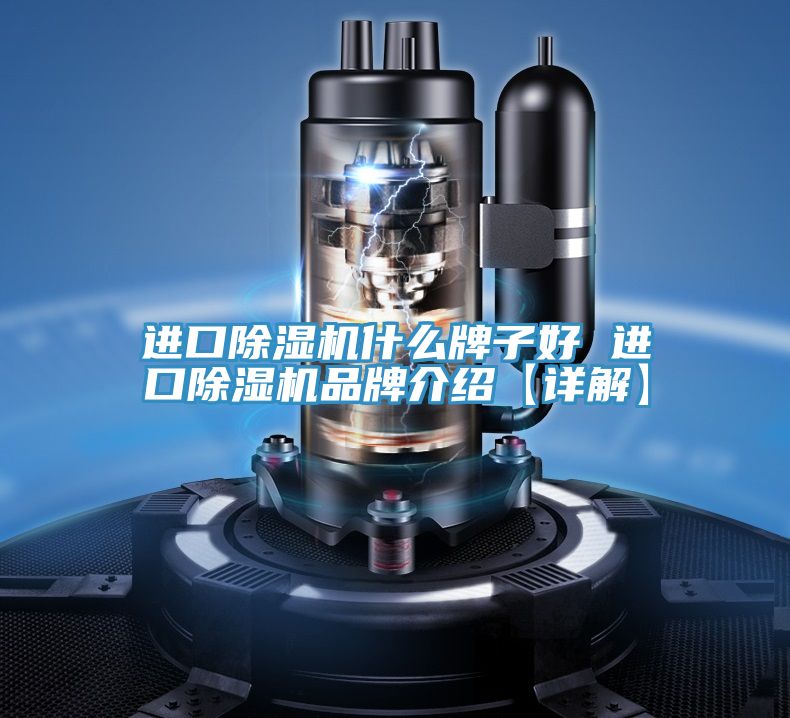 进口91免费网站在线观看什么牌子好 进口91免费网站在线观看品牌介绍【详解】