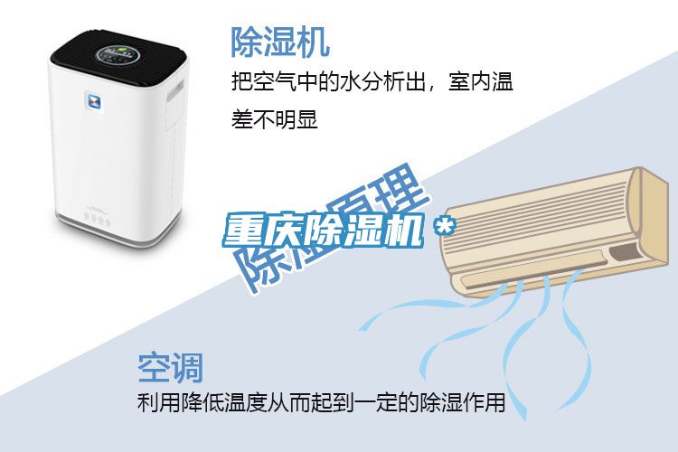 重庆91免费网站在线观看＊
