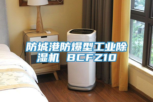 防城港防爆型工业91免费网站在线观看 BCFZ10