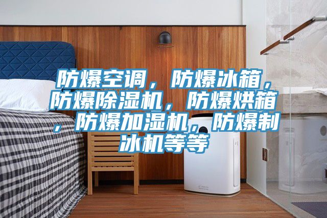 防爆空调，防爆冰箱，防爆91免费网站在线观看，防爆烘箱，防爆加湿机，防爆制冰机等等