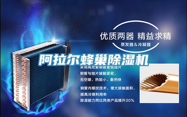 阿拉尔蜂巢91免费网站在线观看