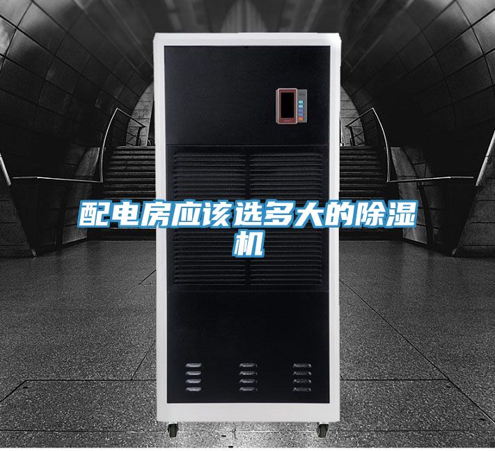 配电房应该选多大的91免费网站在线观看