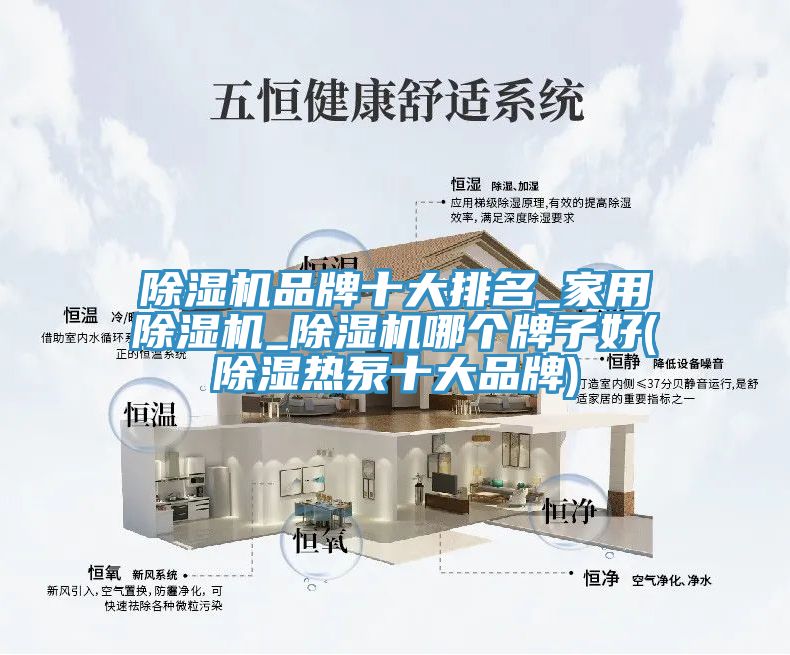 91免费网站在线观看品牌十大排名_家用91免费网站在线观看_91免费网站在线观看哪个牌子好(除湿热泵十大品牌)