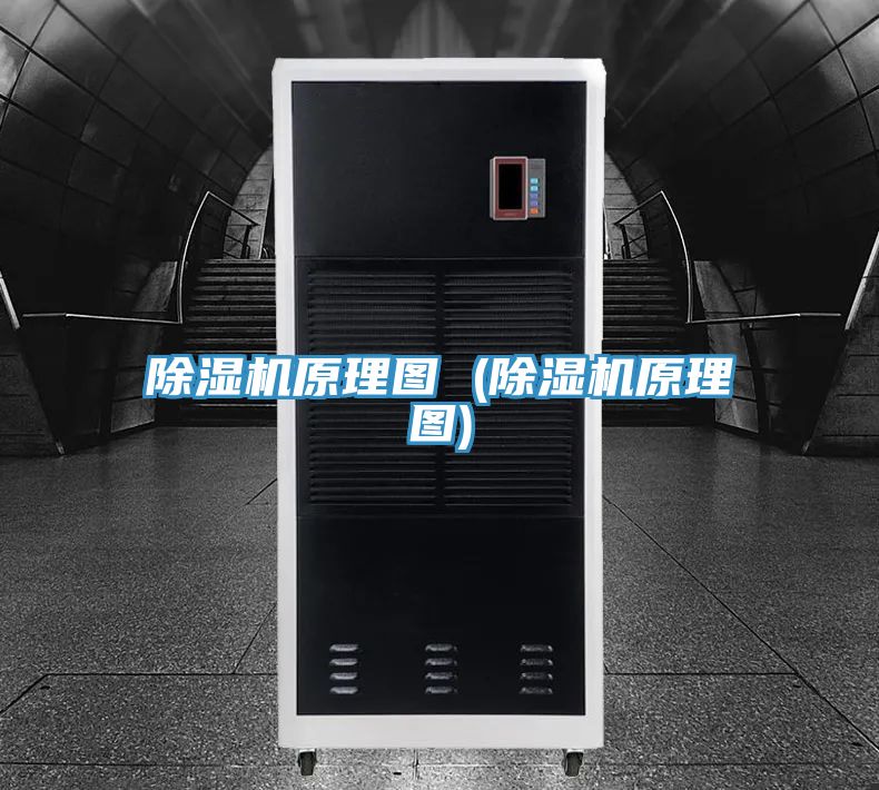 91免费网站在线观看原理图 (91免费网站在线观看原理图)