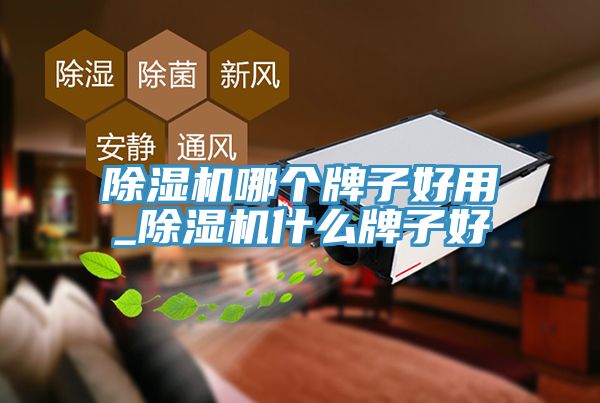 91免费网站在线观看哪个牌子好用_91免费网站在线观看什么牌子好