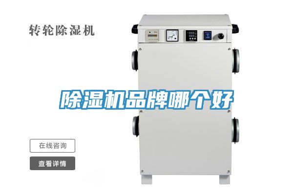 91免费网站在线观看品牌哪个好