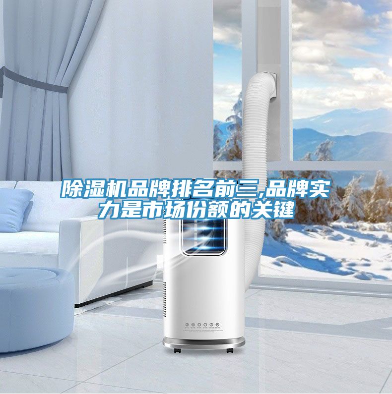 91免费网站在线观看品牌排名前三,品牌实力是市场份额的关键