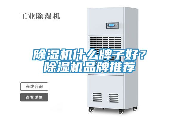 91免费网站在线观看什么牌子好？91免费网站在线观看品牌推荐