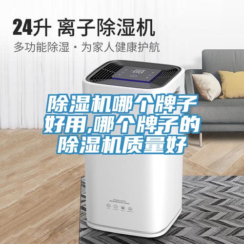 91免费网站在线观看哪个牌子好用,哪个牌子的91免费网站在线观看质量好