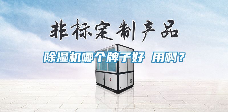 91免费网站在线观看哪个牌子好 用啊？