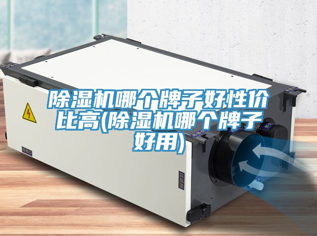 91免费网站在线观看哪个牌子好性价比高(91免费网站在线观看哪个牌子好用)