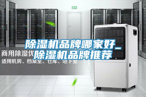91免费网站在线观看品牌哪家好_91免费网站在线观看品牌推荐