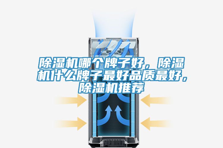 91免费网站在线观看哪个牌子好，91免费网站在线观看什么牌子最好品质最好，91免费网站在线观看推荐
