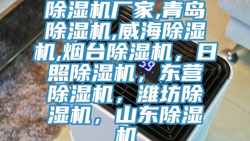 91免费网站在线观看厂家,青岛91免费网站在线观看,威海91免费网站在线观看,烟台91免费网站在线观看，日照91免费网站在线观看，东营91免费网站在线观看，潍坊91免费网站在线观看，山东91免费网站在线观看