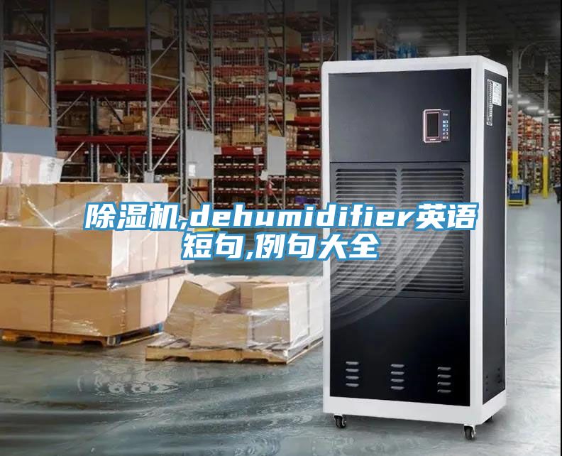 91免费网站在线观看,dehumidifier英语短句,例句大全