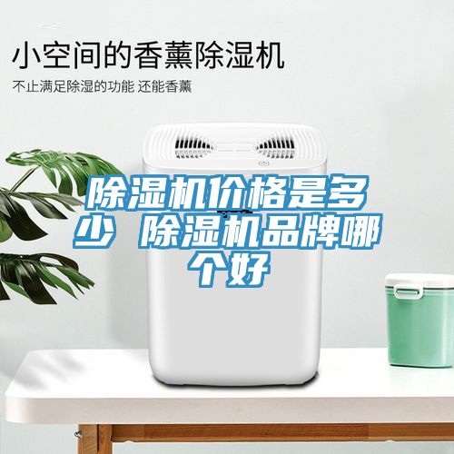 91免费网站在线观看价格是多少 91免费网站在线观看品牌哪个好