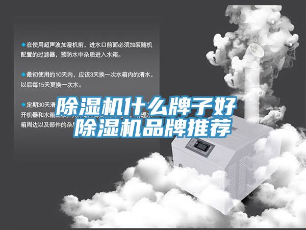 91免费网站在线观看什么牌子好 91免费网站在线观看品牌推荐