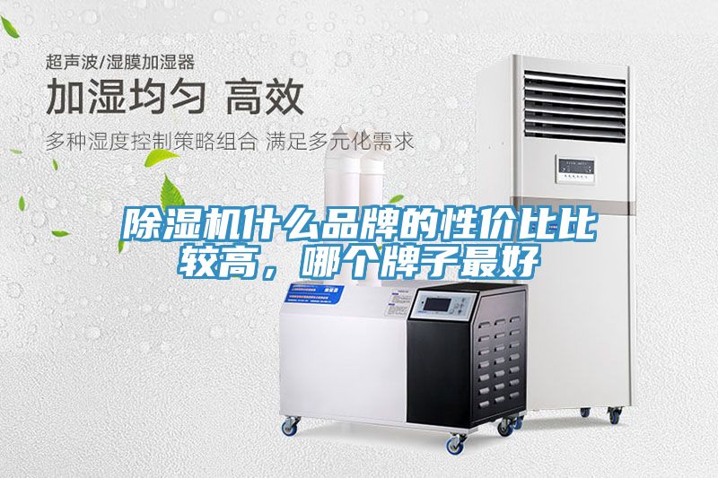 91免费网站在线观看什么品牌的性价比比较高，哪个牌子最好