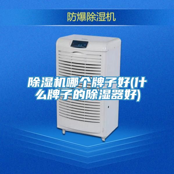 91免费网站在线观看哪个牌子好(什么牌子的除湿器好)