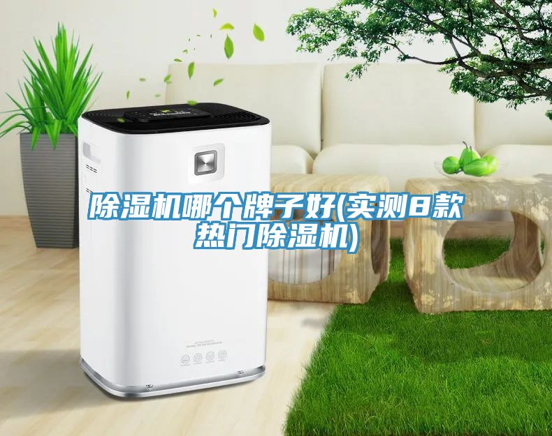 91免费网站在线观看哪个牌子好(实测8款热门91免费网站在线观看)
