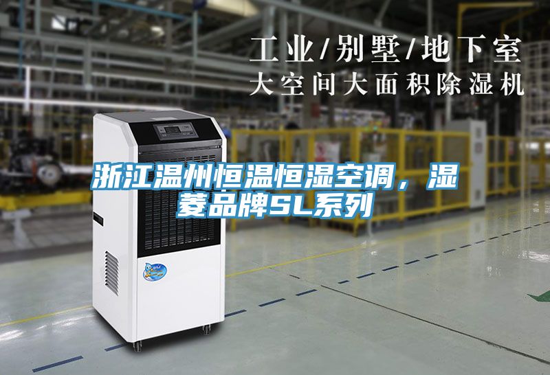 浙江温州恒温恒湿空调，湿菱品牌SL系列