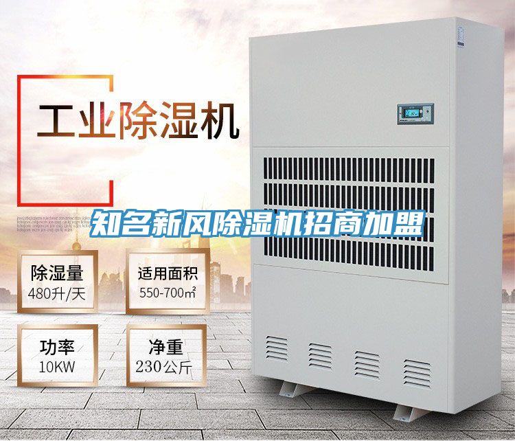 知名新风91免费网站在线观看招商加盟