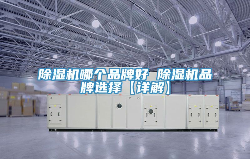 91免费网站在线观看哪个品牌好 91免费网站在线观看品牌选择【详解】