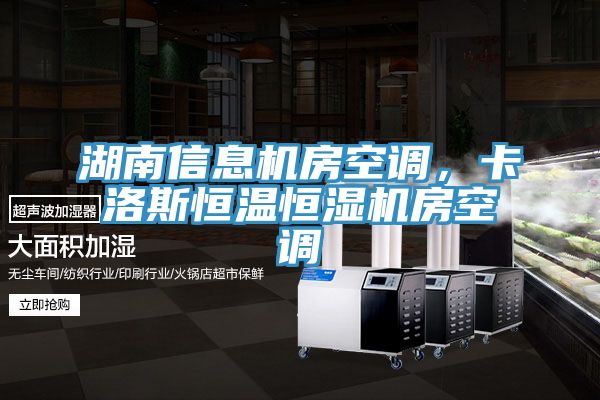 湖南信息机房空调，卡洛斯恒温恒湿机房空调