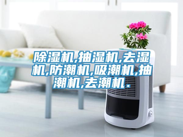91免费网站在线观看,抽湿机,去湿机,防潮机,吸潮机,抽潮机,去潮机．