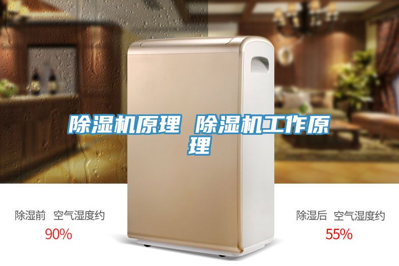 91免费网站在线观看原理 91免费网站在线观看工作原理