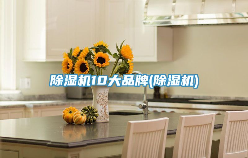 91免费网站在线观看10大品牌(91免费网站在线观看)