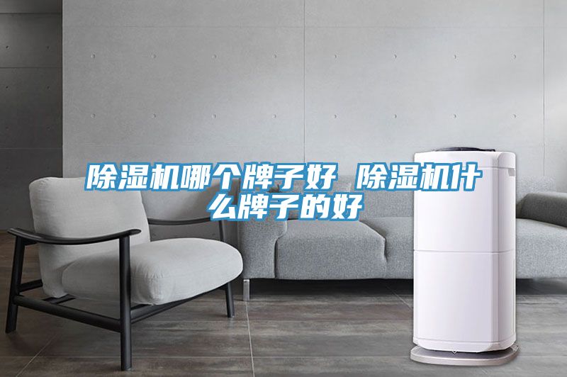 91免费网站在线观看哪个牌子好 91免费网站在线观看什么牌子的好