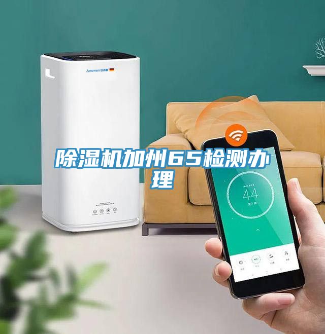 91免费网站在线观看加州65检测办理