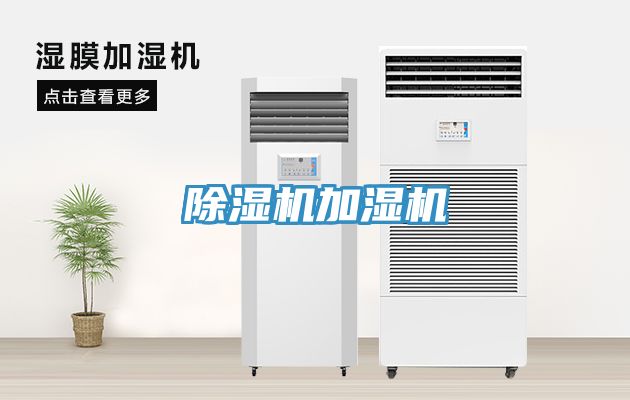 91免费网站在线观看加湿机