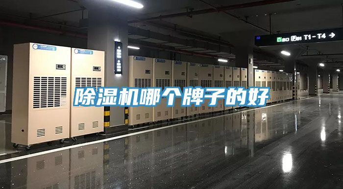 91免费网站在线观看哪个牌子的好